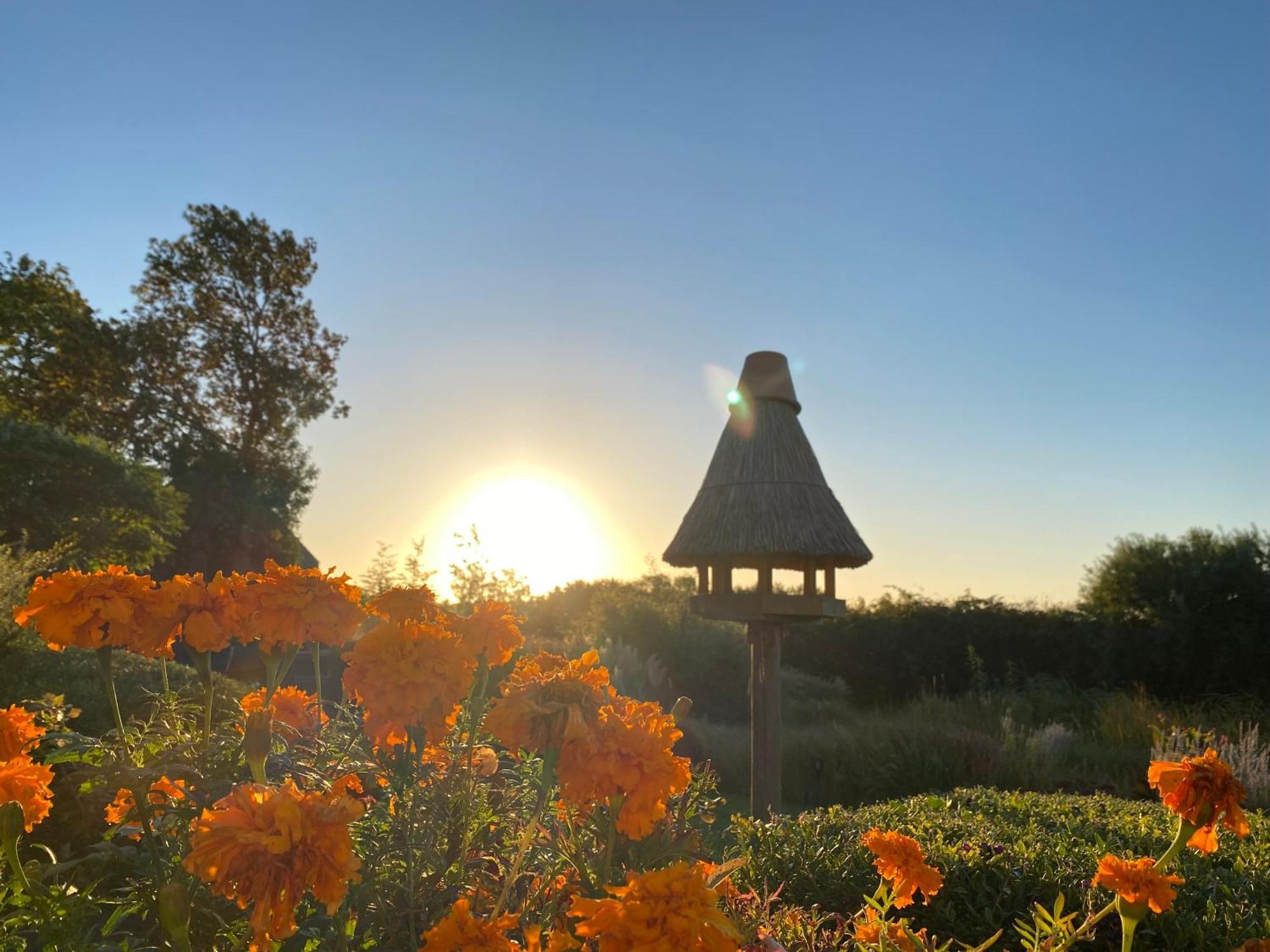 Hotel & Restaurant Zum Kap Arkona Putgarten المظهر الخارجي الصورة