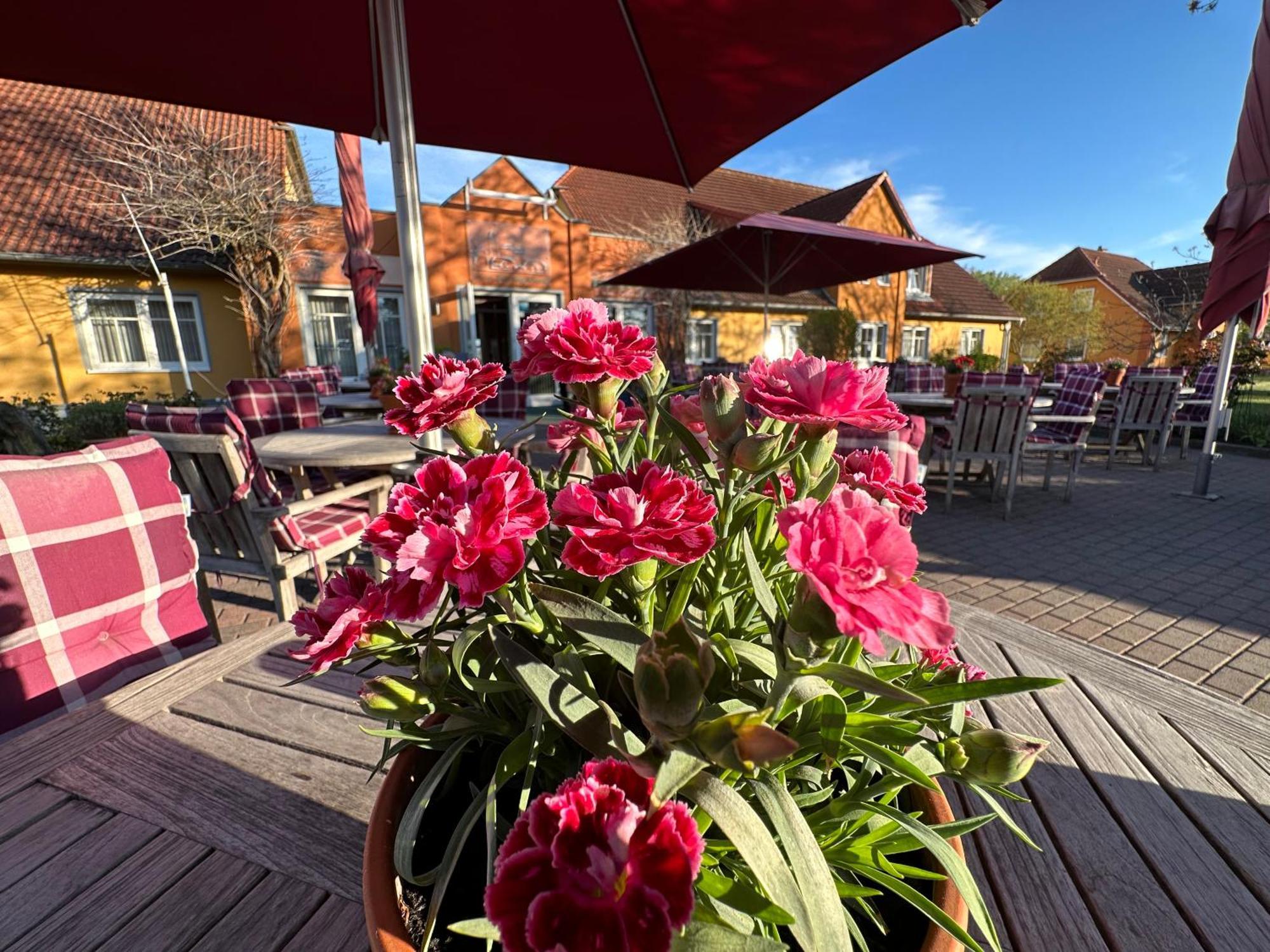 Hotel & Restaurant Zum Kap Arkona Putgarten المظهر الخارجي الصورة